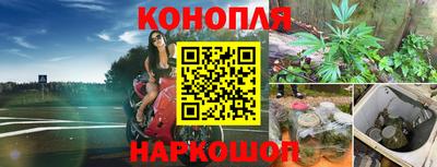 кокс Нарткала