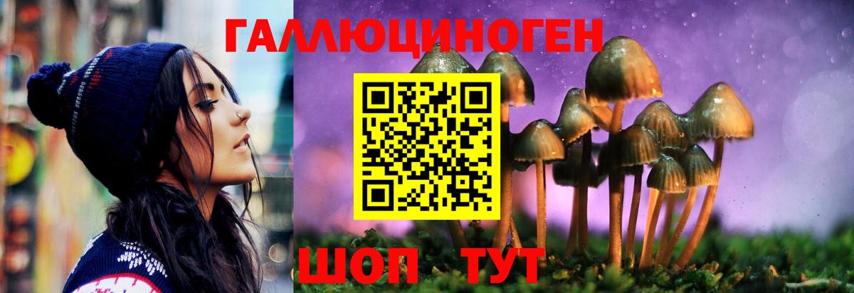 Псилоцибиновые грибы MAGIC MUSHROOMS  Вход с VPN  Санкт-Петербург 